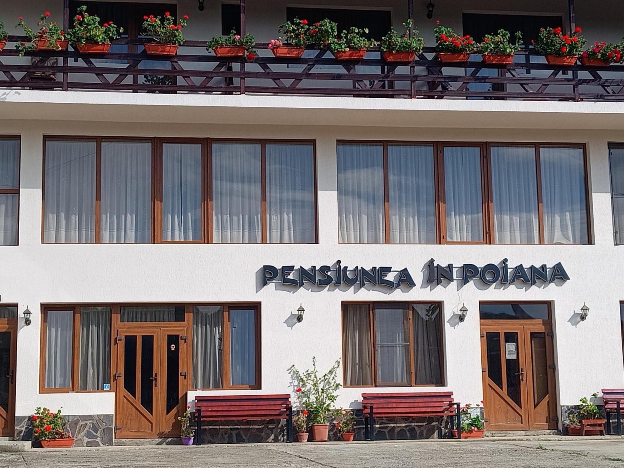 Pensiunea In Poiana Glod  외부 사진